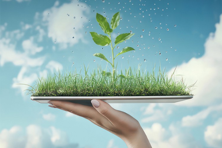 OEDAŞ iklim değişikliğiyle mücadelesini küresel standartlarda sürdürüyor