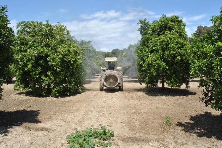 Tarım işletmesi kiralanıyor