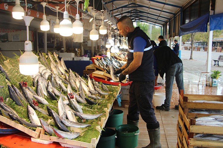 Bandırma Balık Hali'nde palamut bolluğu yaşanıyor