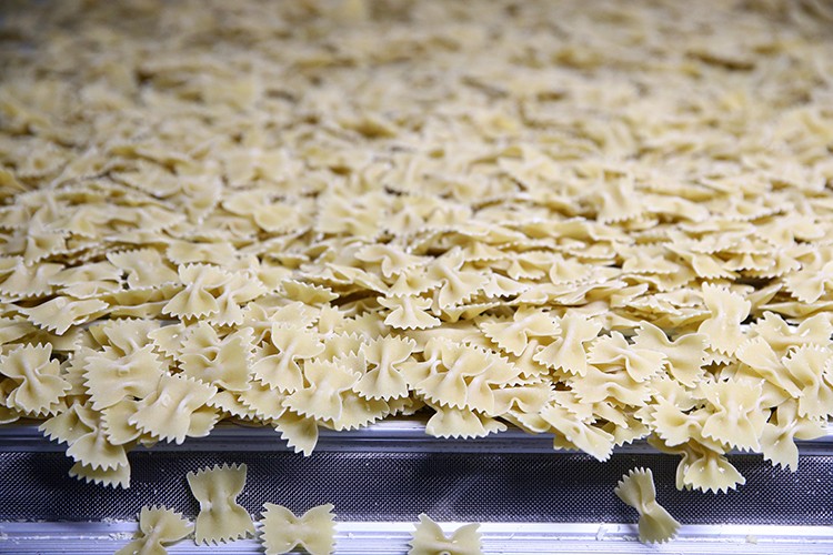 Hedef 800 milyon dolarlık ihracat