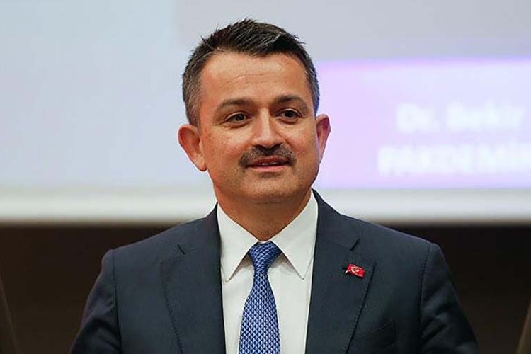 "Gençlerimize pozitif ayırımcılık yapıyoruz"