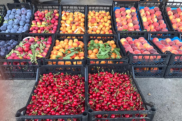 Akdeniz meyvesi 135 ülkeye satılıyor