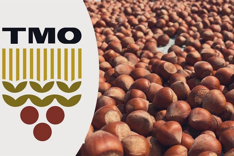 TMO kabuklu fındık alım esaslarını açıkladı