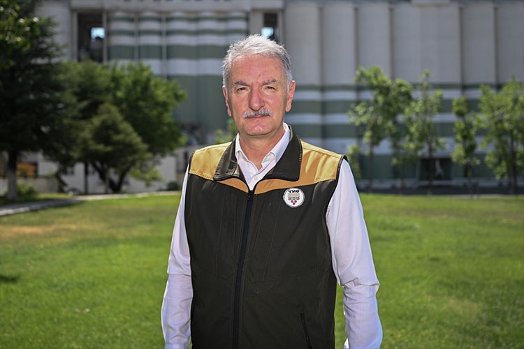 Fındık rekoltesinin bu yıl 453 bin ton olması bekleniyor