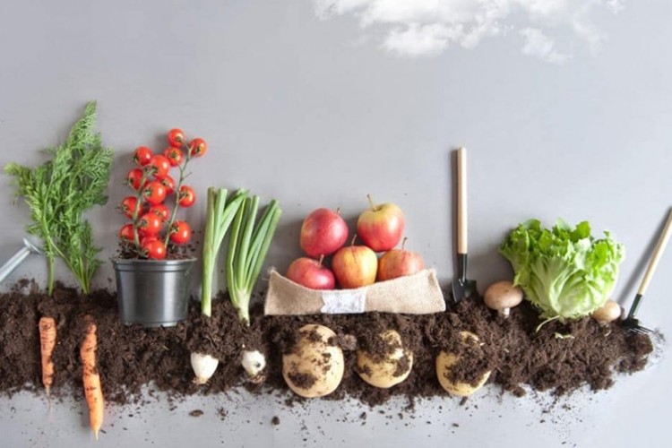 Gıda güvenliğini artırmalıyız