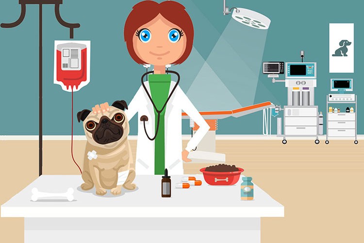 Hayvanlara tıbbi müdahalede bulunanlara uyarı