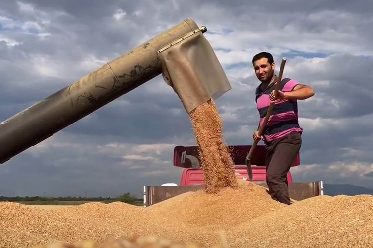 Fiyatları yükselten bol para ve kuraklık