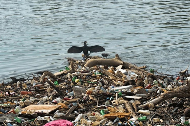 Çevreyi kirletenlere verilecek cezalar belli oldu