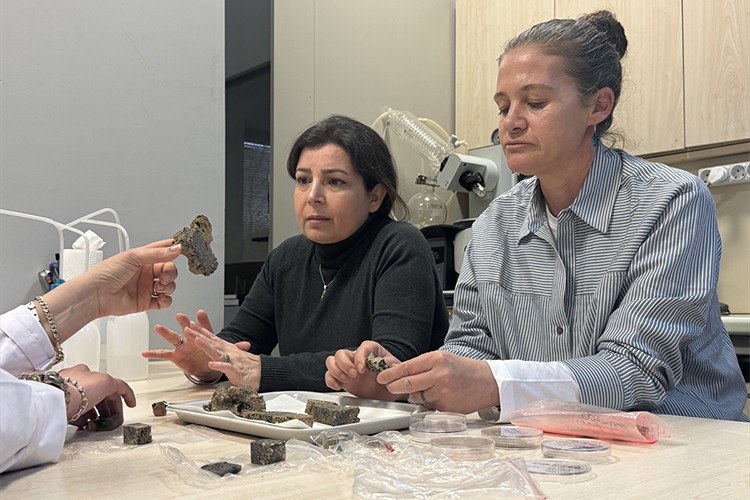 Anadolu'da bakırın bilinenden 3 bin yıl önce işlendiği belirlendi