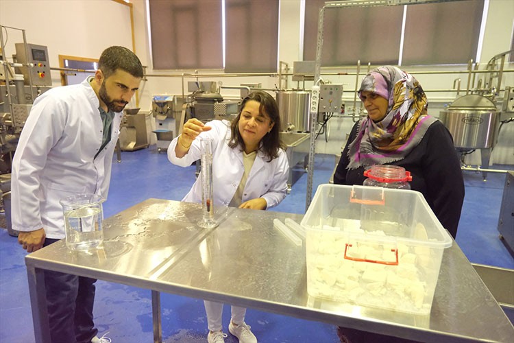 Köy peynirinde "göz kararı" ve "tutam" ölçüsü arşivleniyor