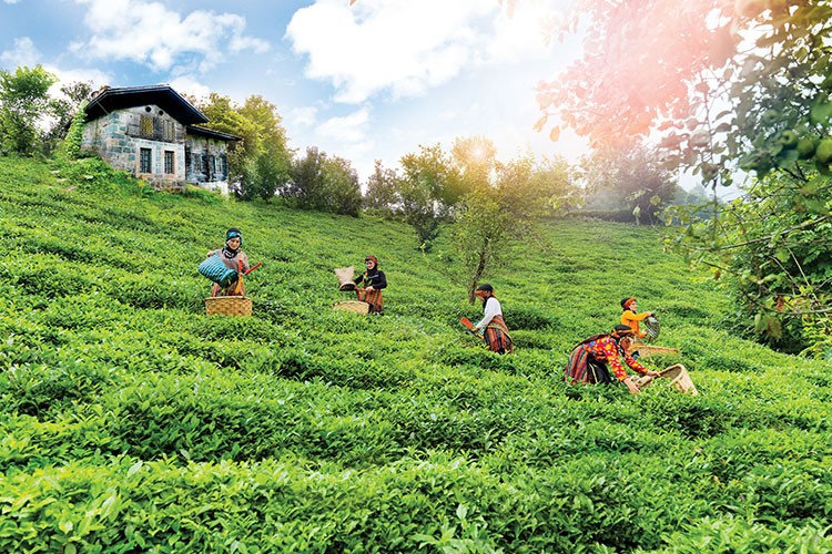 Yılda 2 milyon ton tarım ürününü ekonomiye kazandırıyor