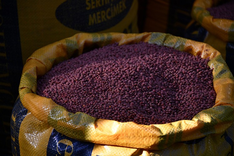 152 ton mercimek tohumu dağıtıldı