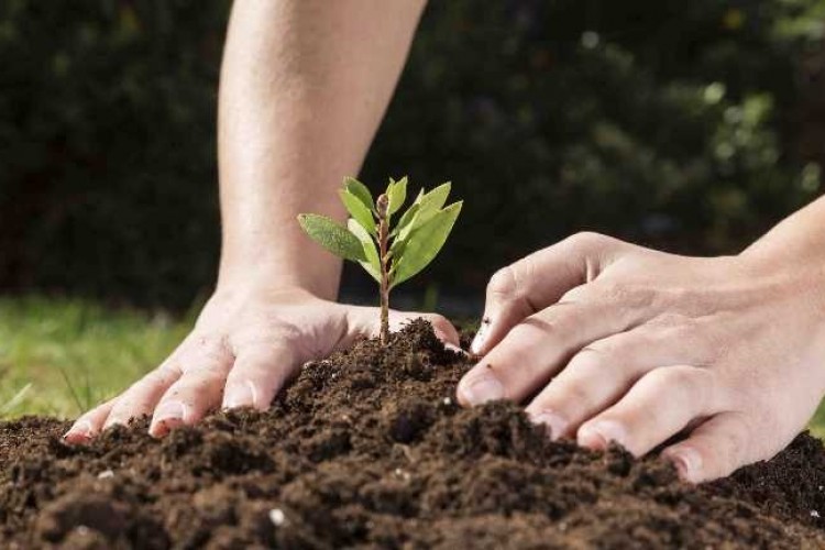 Bitkileri zararlılardan korumada yerli üretim atağı
