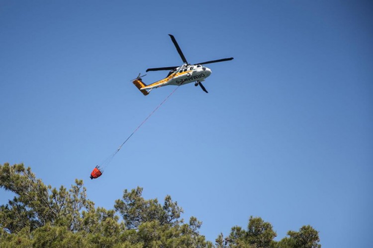 OGM'nin kara ve hava gücü orman yangınlarına hazır