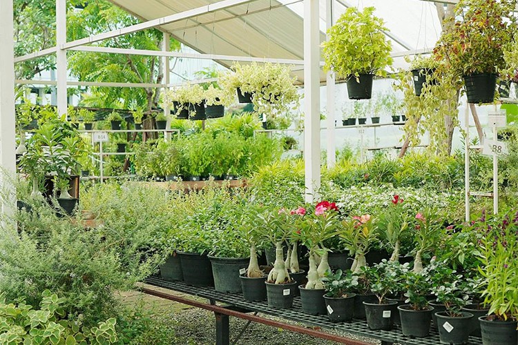 Peyzaj Sektörü İzmir'de Buluşuyor