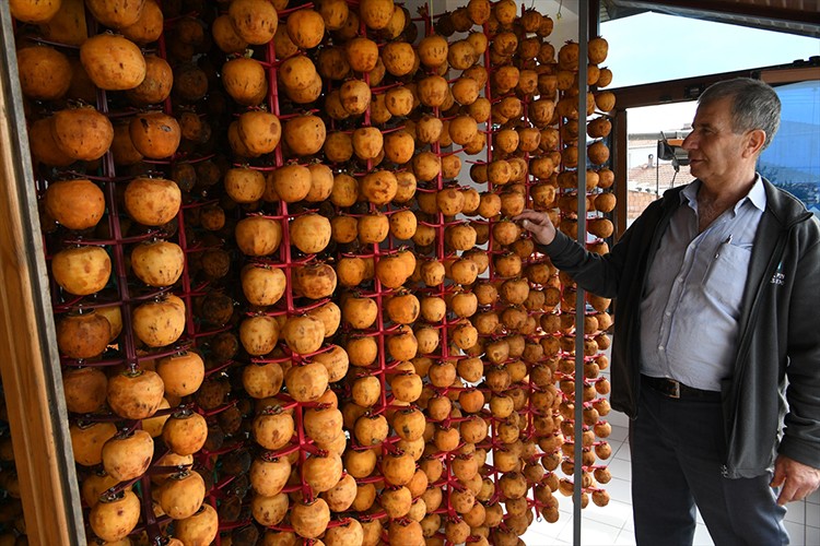 Trabzon hurmasını kendi tasarladığı aletlerle kurutup gelirini katladı