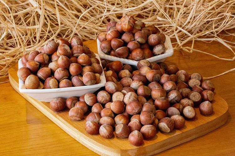 TMO 10 bin ton kabuklu fındığın satışını yapacak