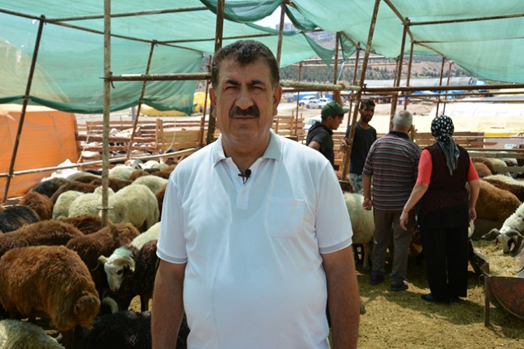 Bayramda 3 milyon 700 bin kurbanlık satıldı