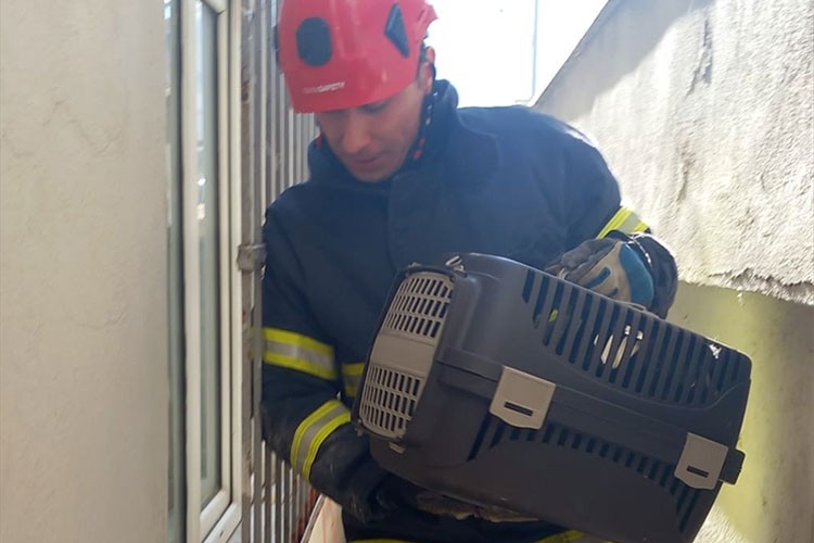 Düştüğü yerde mahsur kalan kediyi itfaiye ekipleri kurtardı