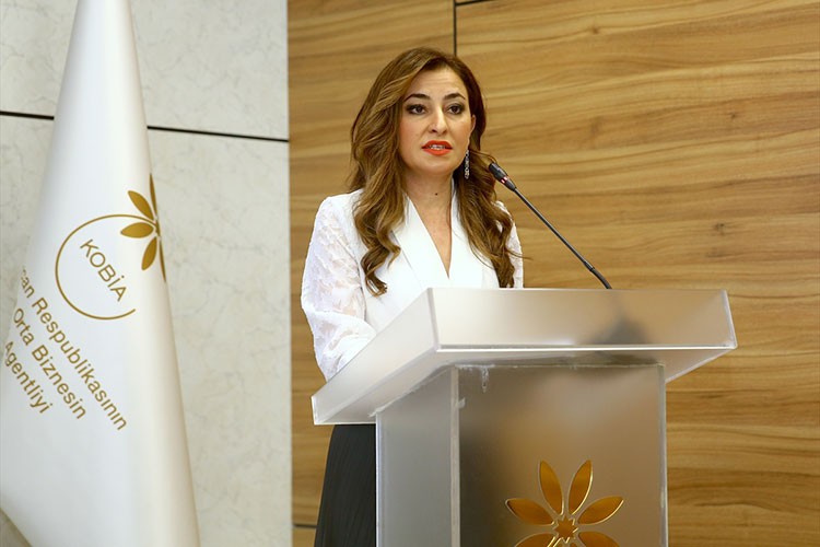 Bakü'de 10-12 Haziran'da "2. Türk Ticaret Fuarı" düzenlenecek