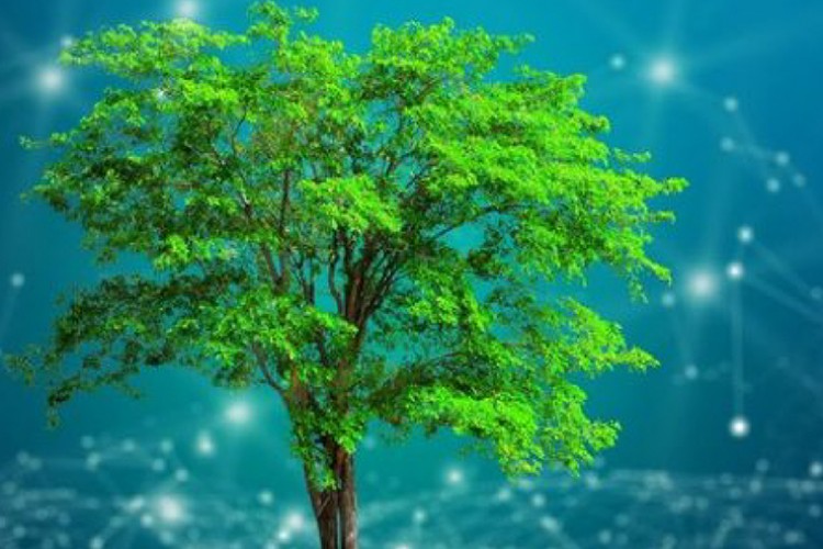 Sürdürülebilirlik raporunu yayınladı