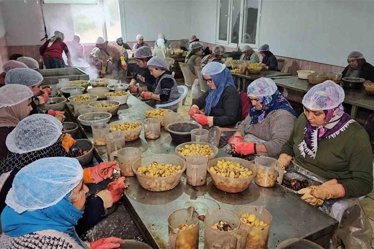 Nazilli kestane şekeri Japonya'dan büyük ilgi görüyor