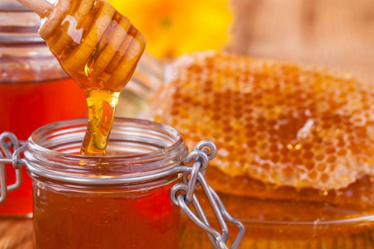 Bal üretimiyle ilgili önemli görüşme