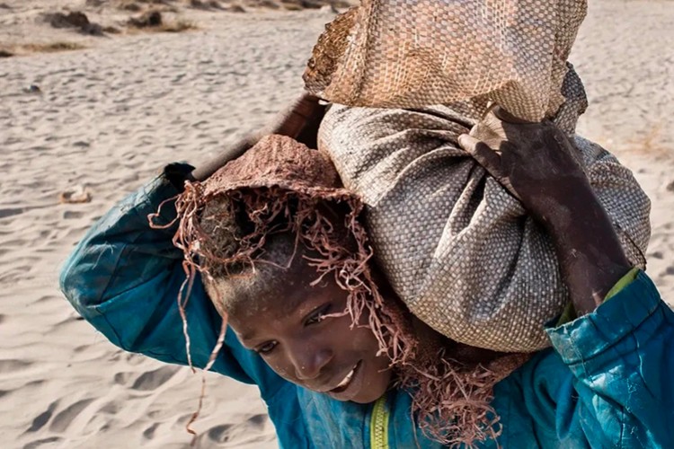 Kongo'da çocuklar köle gibi çalıştırılıyor