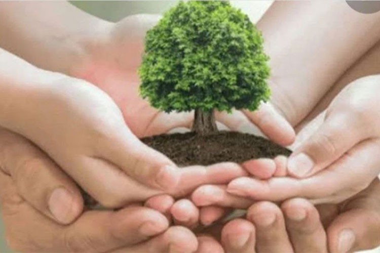 Milli Ağaçlandırma Günü insanlığa da doğaya da "nefes" olacak