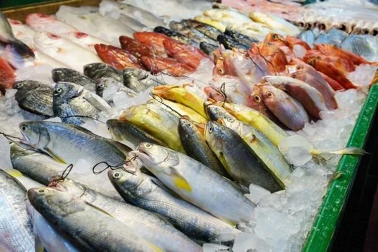 Aralık'ta en fazla "taze balık" fiyatı arttı