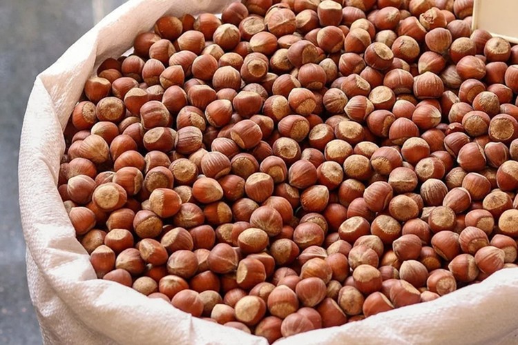 Fındık ihracatından 658 milyon doları aşkın gelir sağlandı