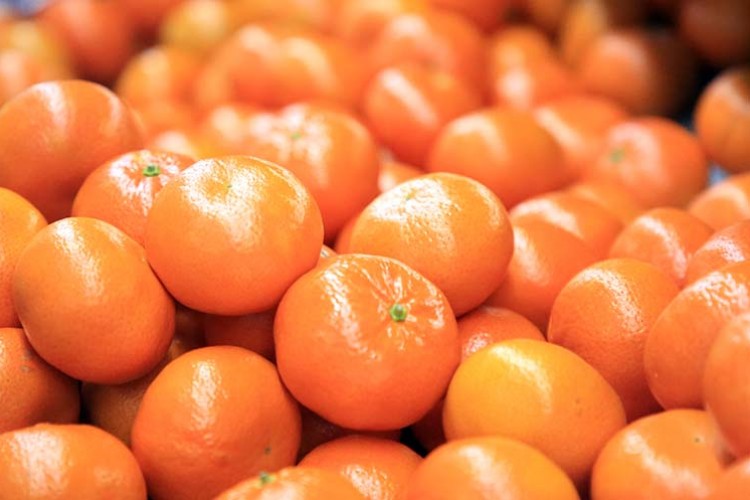 Narenciyede lider mandalina