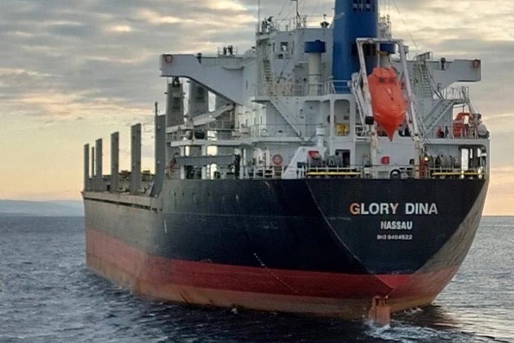 "Kılavuzluk Hizmetleri Rus Petrol Yasağından Muaf Olabilir"