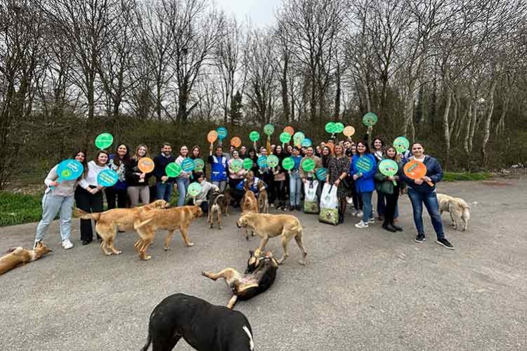 Ormanlardaki Dostlarımızı 1 Ton Mamayla Besledi