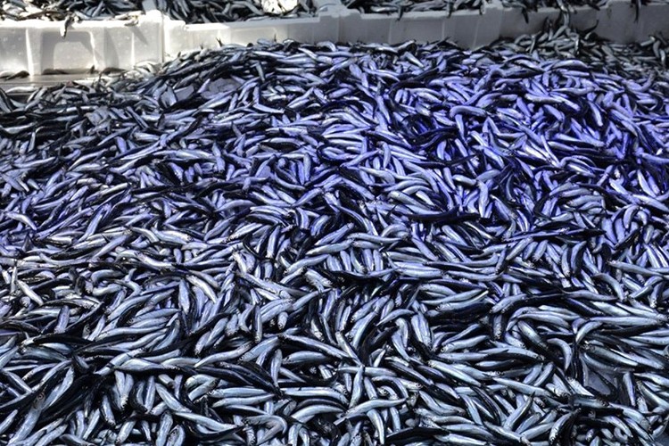 Yasak stoklara olumlu yansıdı