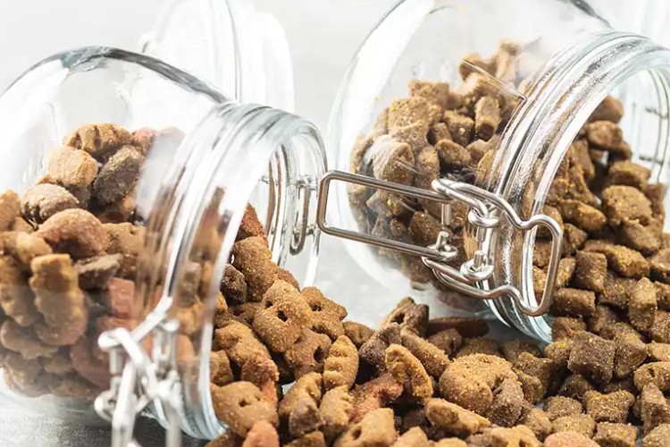 Türkiye'nin kedi köpek maması ihracatı 73 milyon dolara yükseldi