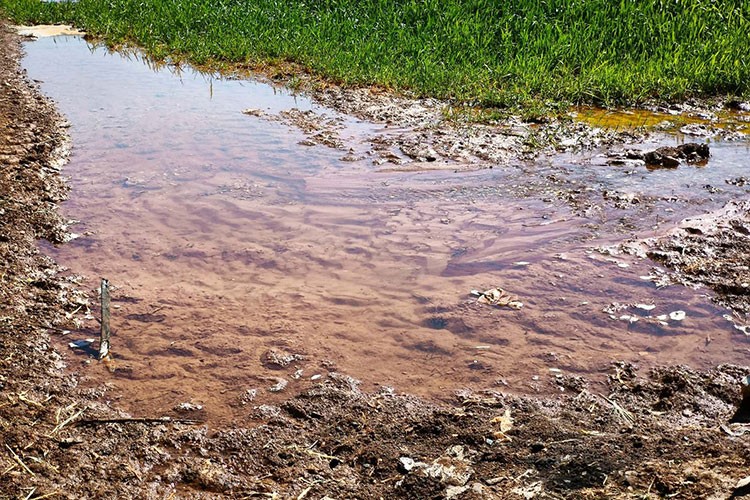 Güneydoğu'da su ve enerji kaynakları alarm veriyor