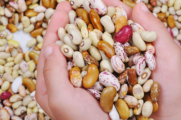 Gıda arzında sürdürülebilirlik için Avrupa ile ortak projeler