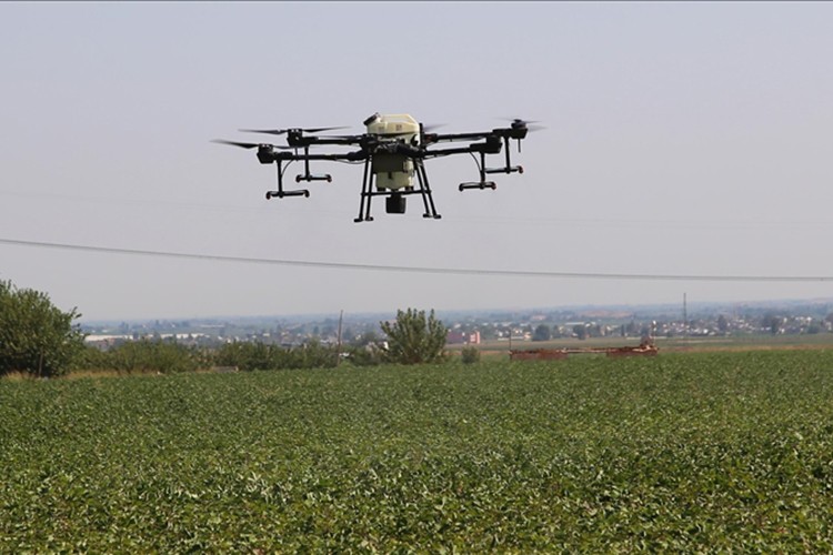 Tarımda dijital dönüşüm yapay zeka ile hızlanıyor