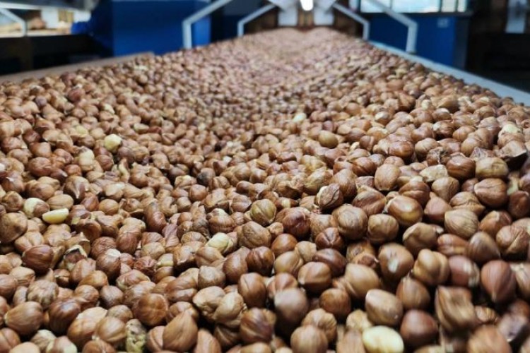 Fındık ihracatı 1,2 milyar doları aştı