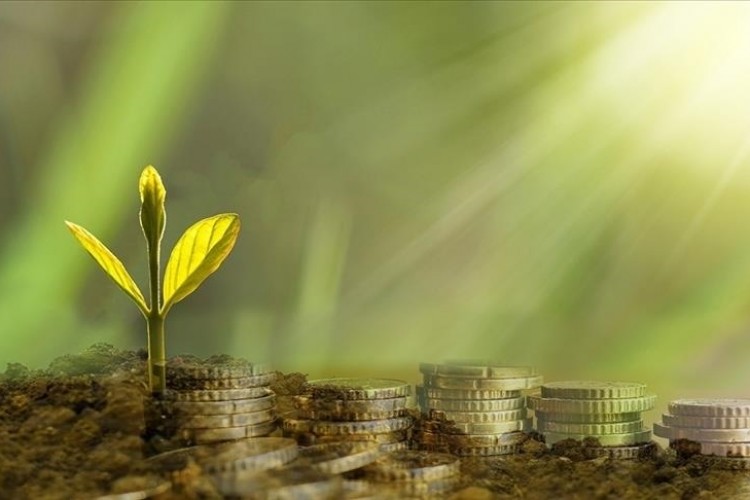 Daha yeşil ve temiz bir dünya için yerel seçimler bir fırsat