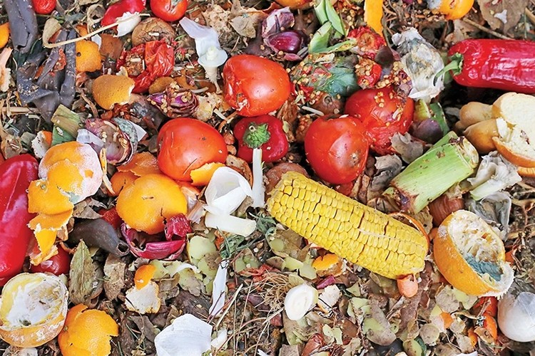 Milyonlar açken gıdaların üçte biri çöpe gidiyor