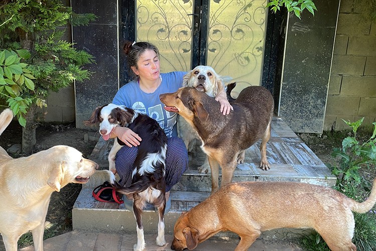 Evini 43 kedi ve köpekle paylaşıyor