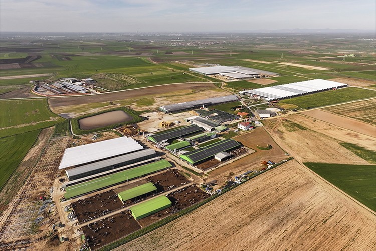 Robotik çiftlik sürdürülebilir model sunuyor