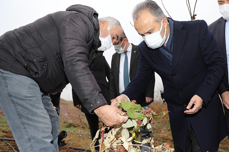 Ahududu da çıta yükseldi