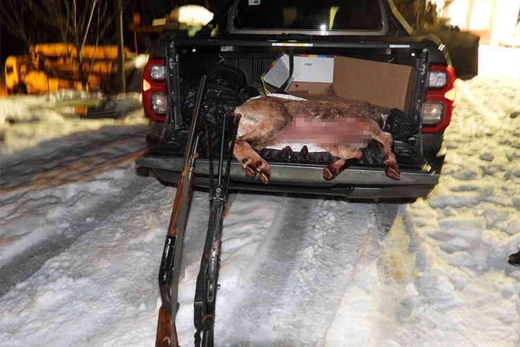 Artvin'de yaban keçisi avlayan 2 kişiye 660 bin lira ceza