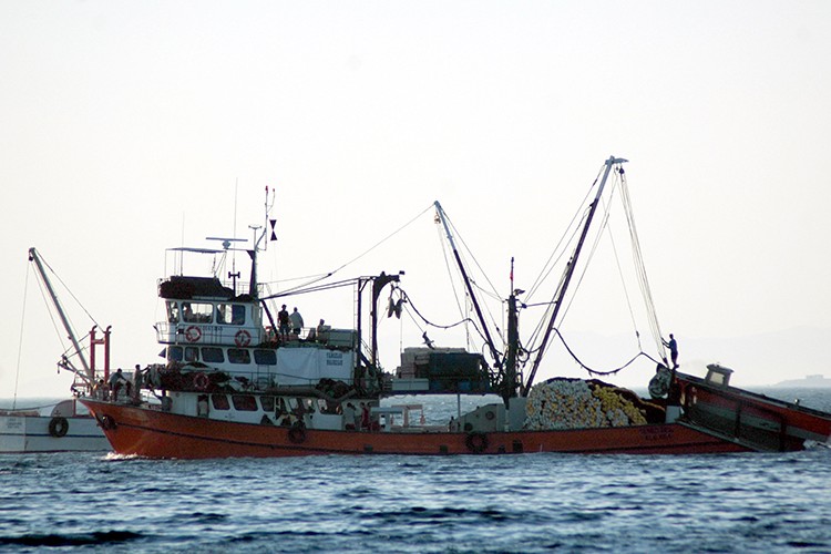 Endüstriyel balıkçılığın kısıtlanması lazım