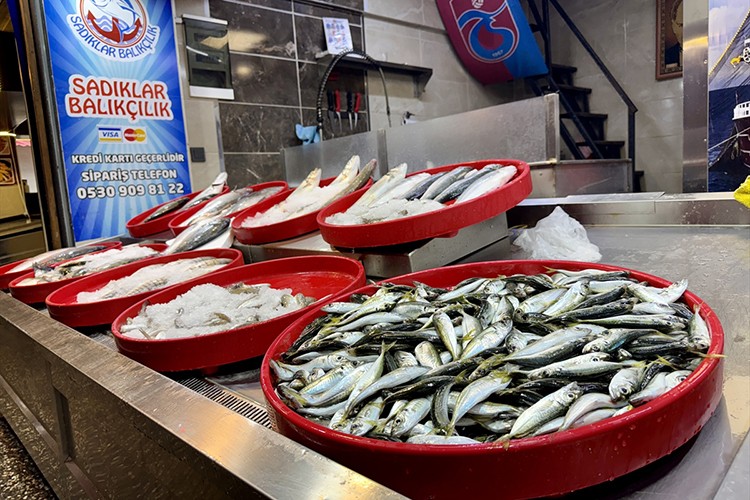 Trabzon'da istavrit ve mezgit tezgahları süslüyor