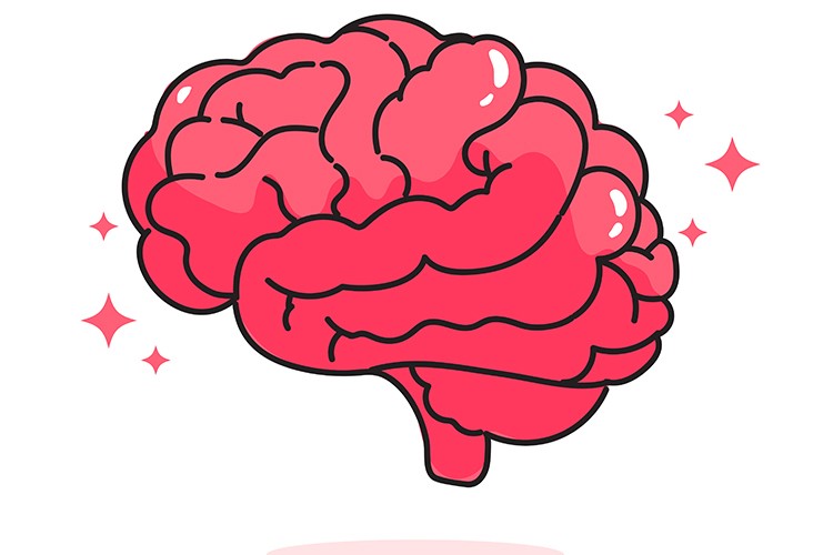 İyi korunmuş sağlıklı bir beyine ihtiyacımız var