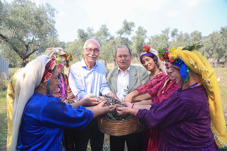 Anıt ağaçta törenle hasat